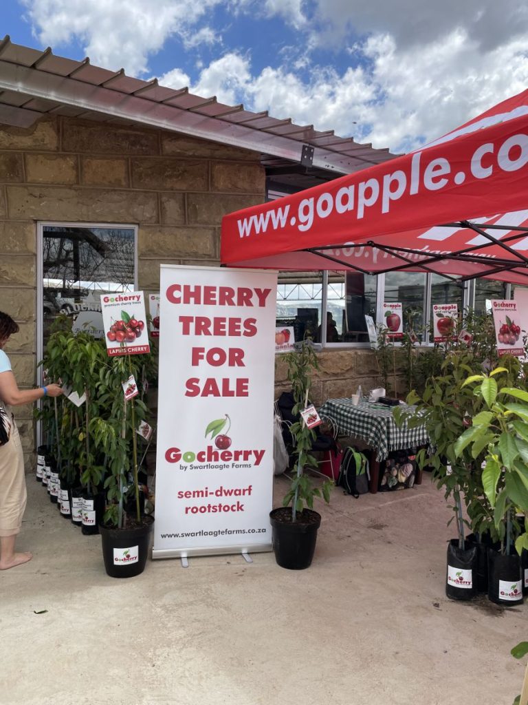 Cherry Festival 2021-2