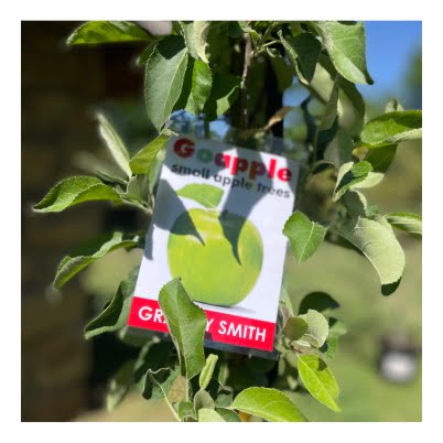 Shop image GS label