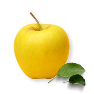 Golden Delicious Apple Tree (Delivery included)